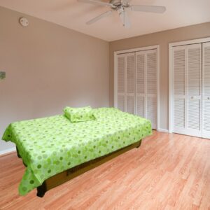 Lemons and Lemon Grass Print Cotton Single bed Bedsheet