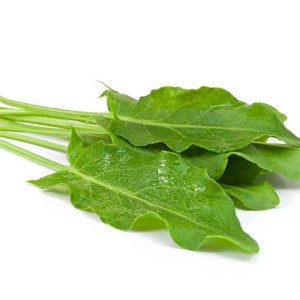Green Sorrel (Chukka Kura)