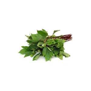 GONGURA GREEN/RED