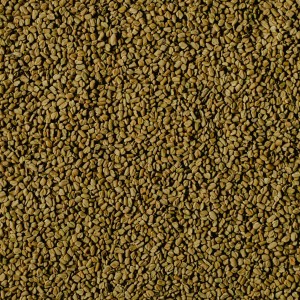 Methi - Fenugreek