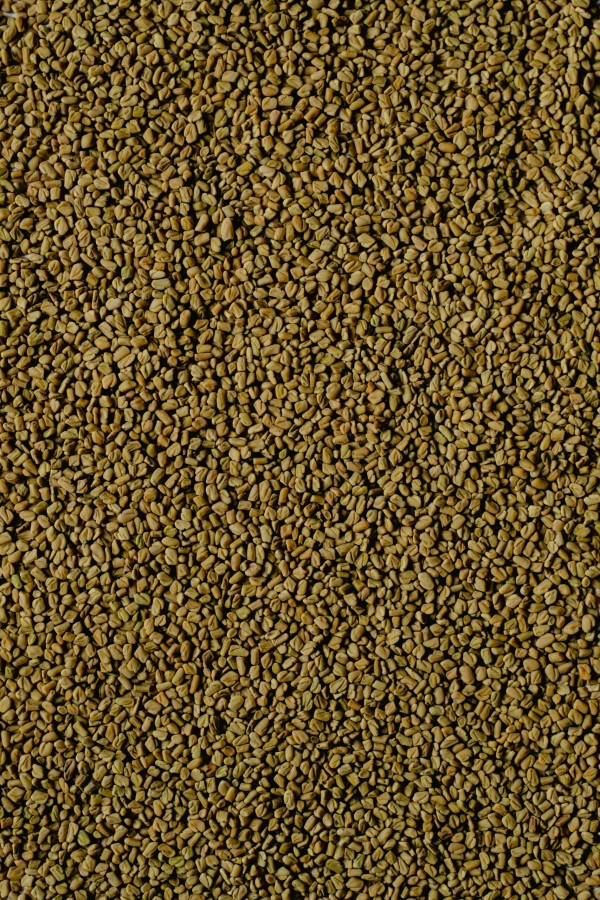 Methi - Fenugreek