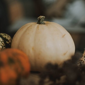 Bottle Gourd Round